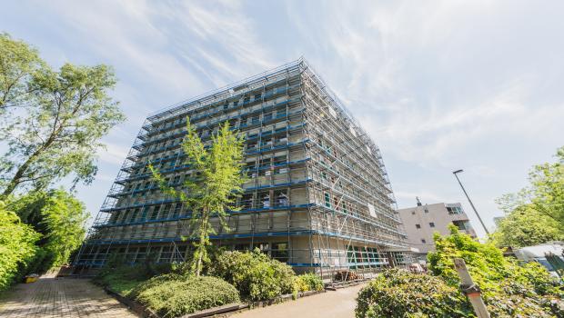 Stellingbouw